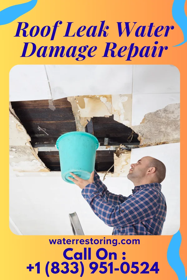Roof Leak Water Damage Repair in Halsey, OR